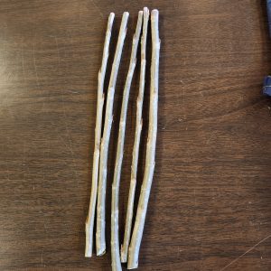 Hybrid Poplar Cuttings