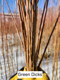 Green Dicks Willow Cuttings