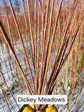 Dickey Meadows Cuttings